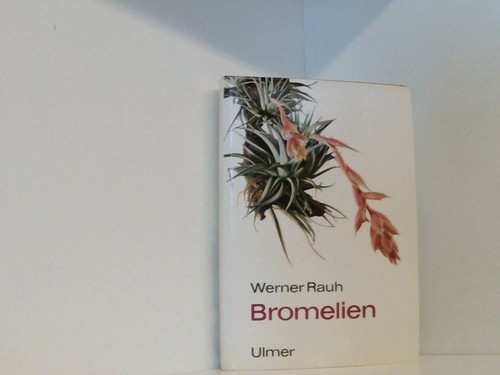 Bromelien für zimmer und - für,
