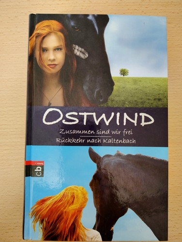 Ostwind zusammen sind wir - sind,