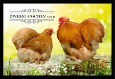 Fußmatte Schmutzfangmatte Hühner Zwerg Cochin gelb F1354