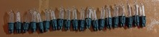 20 Ersatzlampen 2,5 Volt  0,32 Watt 100er Lichterkette