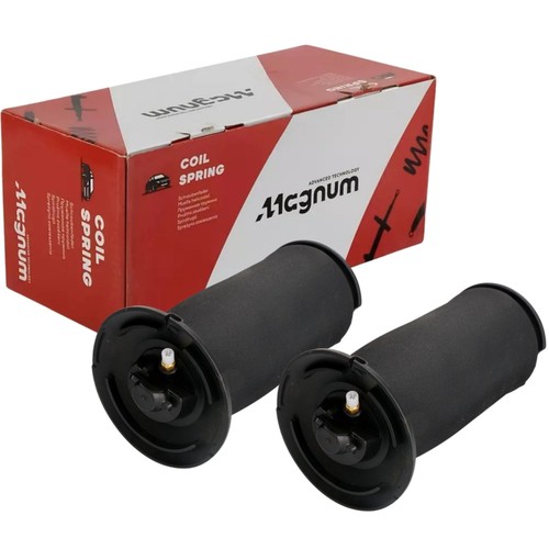 Magnum technology - 2x,