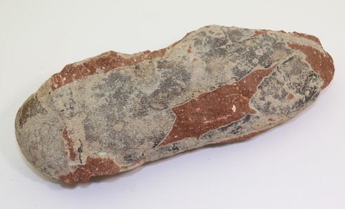 Saurier oviraptor - saurier-ei,,
