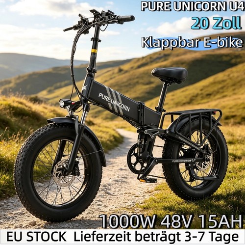 Fat bike elektrofahrrad - fat,