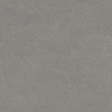 Linoleum Certo Schiefer grau