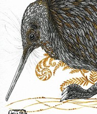 Kiwi Vogel
