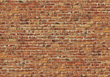 Ziegelwand Rot Steinwand VLIES