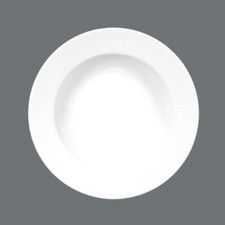 Seltmann Weiden Serie Meran uni Porzellan Teller Tief 23 cm Fahne