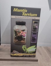 Mantis tarrium nano - mantis, (