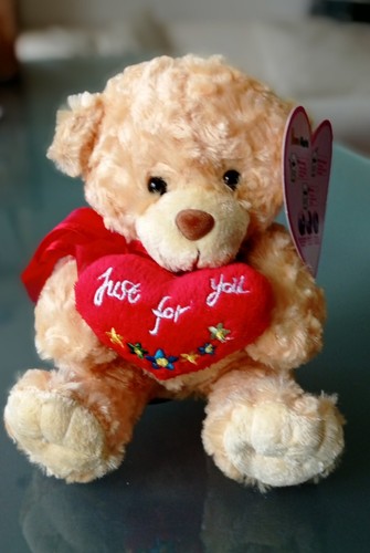 Süßer sprechender teddy - sprechender,