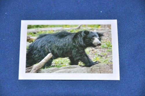 Rewe abenteuer tierwelt - rewe,