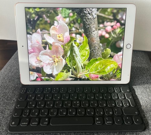 Apple smart keyboard - smart,