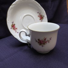 Winterling Roslau Bavaria (72)