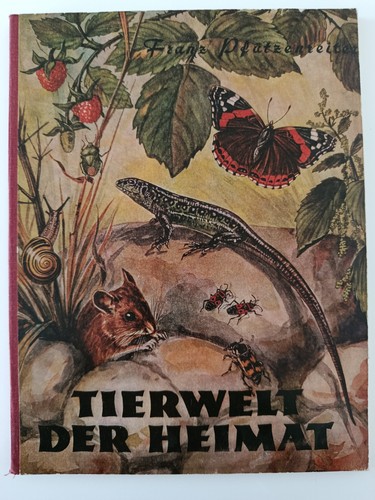 Naturkundebuch tierwelt der - tierwelt,
