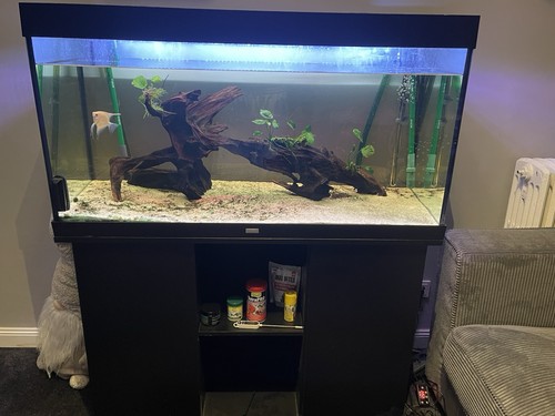 Aquarium juwel 360l 120x50x60 - aquarium,