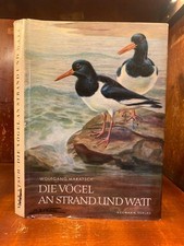 Die Vögel an Strand und Watt