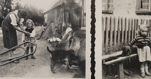 Foto ddr neustrelitz - neustrelitz, bauernhof