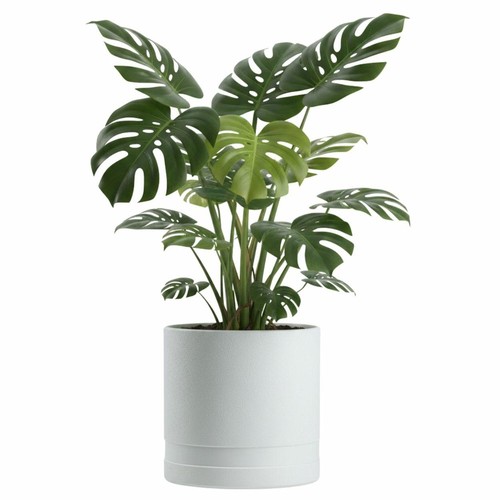 Howhomely übertopf - howhomely,