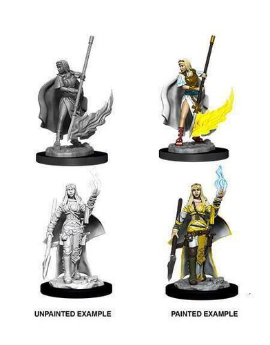 Pathfinder battles miniaturen - pathfinder,
