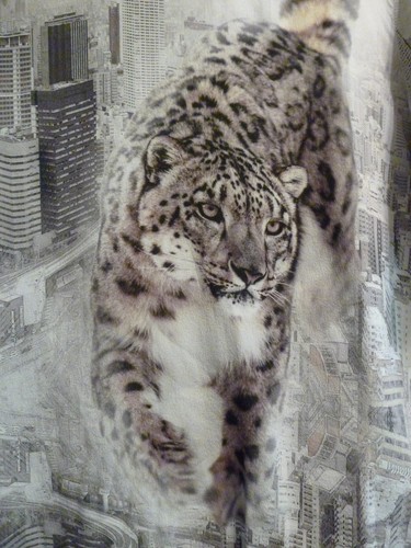 Marc cain shirt n5 - t-shirt,,