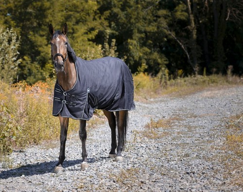Riding world oxford 300 - riding,