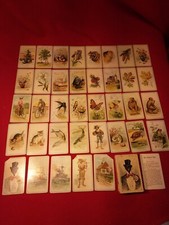 Antike alte spielkarten - antike,