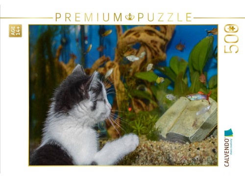 Calvendo puzzle katze hope und - puzzle,