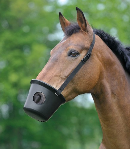Waldhausen maulkorb pferd - wb,