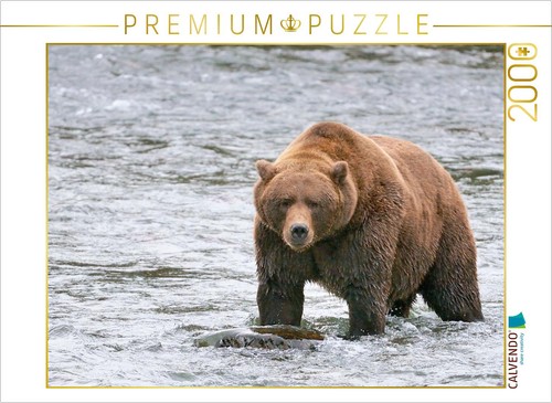 Calvendo puzzle braunbär - puzzle,