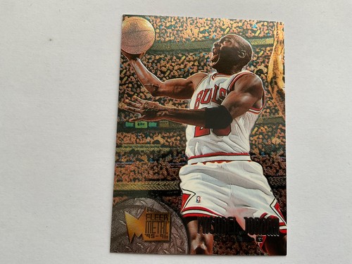 Michael jordan 1995 - michael,