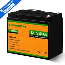 12V 50Ah Lithium Batterie LiFePO4 Akku BMS Wohnmobil Boote Aussenborder