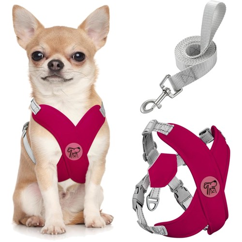Hundegeschirr set leine - hundegeschirr,