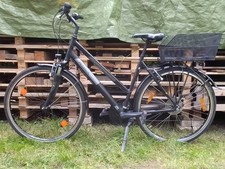 Gebrauchtes Pegasus Avanti  Top teil überholt, nur Abholung in Karlsruhe