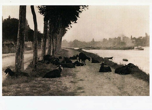 Alfred stieglitz seine - alfred, "seine"