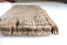 Schwemmholz Treibholz  Brett -