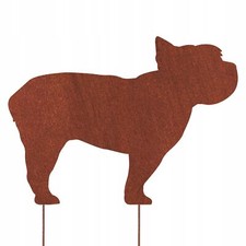 Yorkshire Terrier York Hund