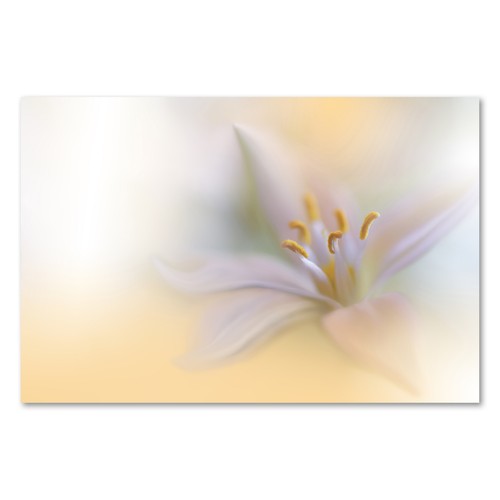 Postereck 3813 poster - 3813,