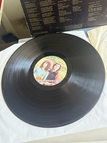 Rex electric warrior 1st - t.rex,