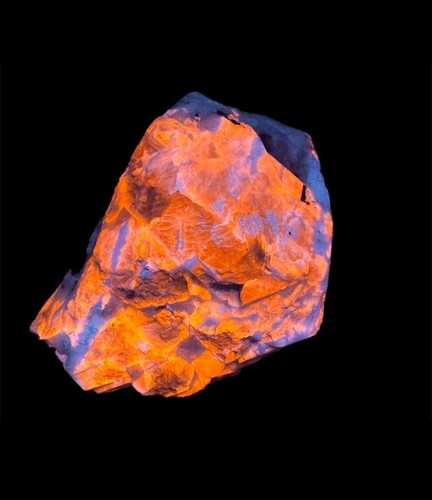 218 gram fluorescent top - 218, blue