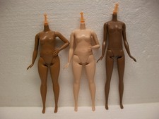3x Barbie Mattel body fashionistas DIY Bastler OOAK custom curvy tall AA Sammler