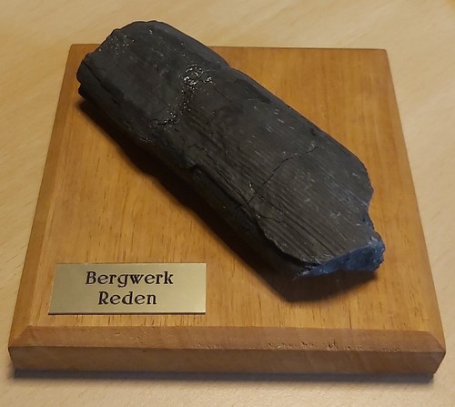 Fossiles versteinertes holz - versteinertes,