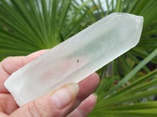 Lemuria Samen Kristall