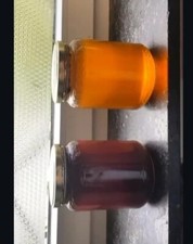 Sidr Honig & Daghmous Honig