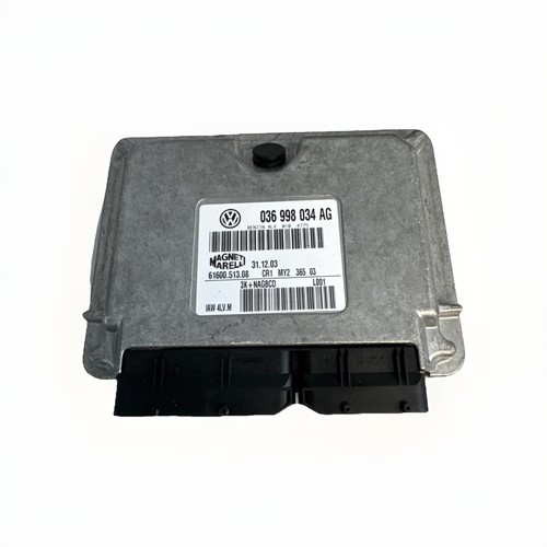 036998034ag original polo - 036998034ag,