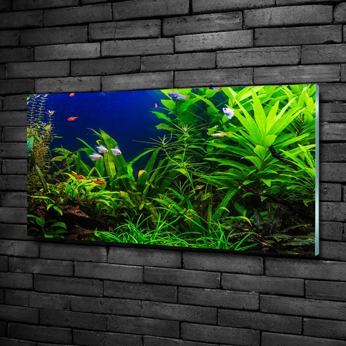 Acrylglas bild wandbilder - acrylglas-bild,