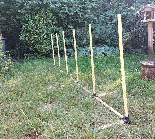 Agility set slalom - slalom, parkour