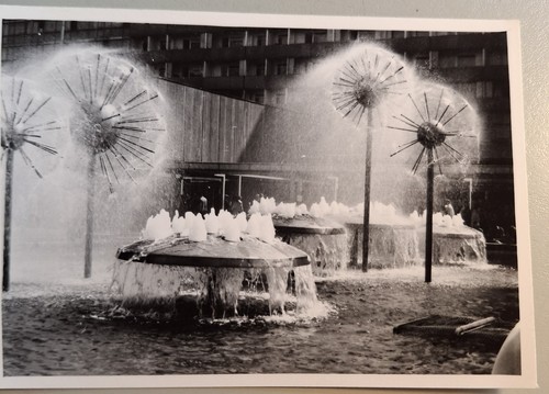 Vintage foto dresden prager - foto,