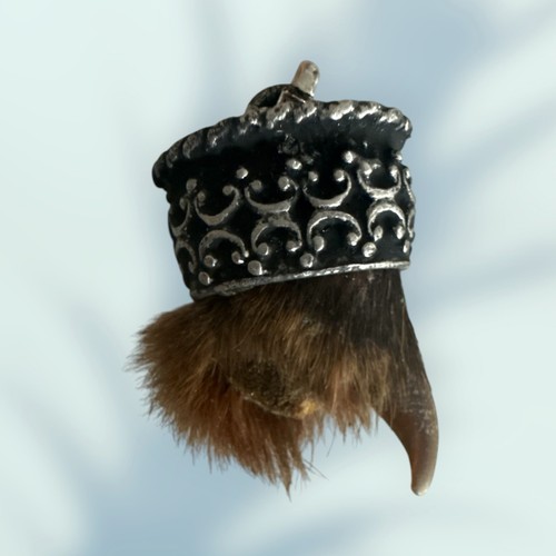 Charivari scharivari - charivari,