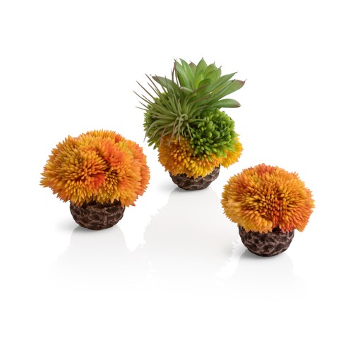 Oase biorb korallenball set - biorb,