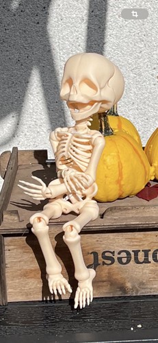 Bjd doll halloween skelett - bjd,