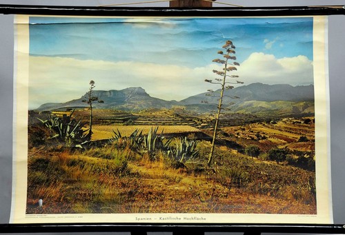 Schulwandkarte vintage poster - schulwandkarte,